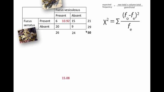 Chi-squared test for association (IB Biology) смотреть онлайн