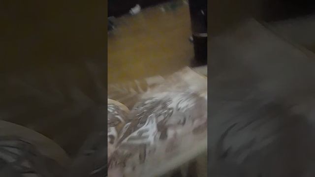 Быстрый взгляд на 