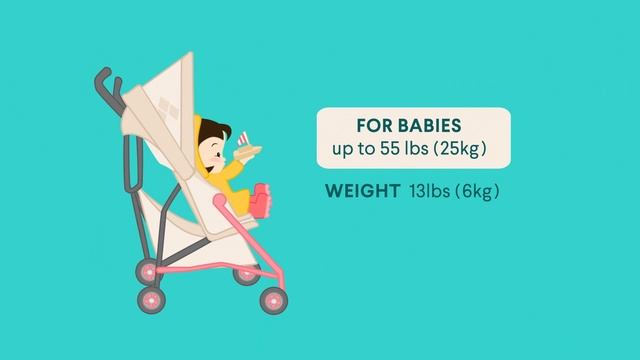 The Only Stroller Guide You'll Ever Need смотреть онлайн