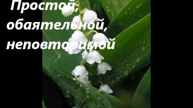 Мариша с днём рождения!.wmv