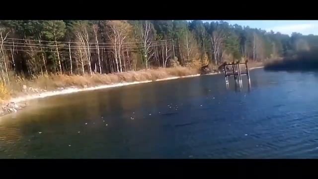 •TIZER "Радиоактивное озеро - охраняемый объект" #школьники смотреть онлайн