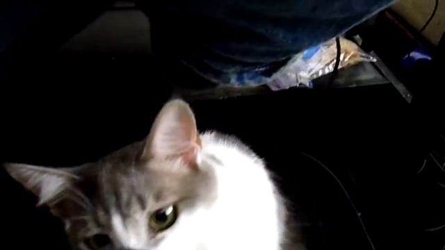 Tezzy And My Samsung PL200