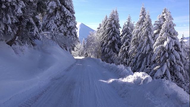 Мечта о лете / авторская песня / аранжировка Максим Кинжал 2021 г. смотреть онлайн