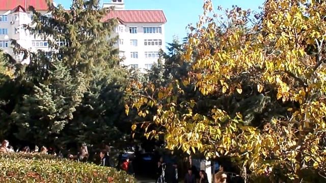 Лазаревское, солнечная погода 09 ноября 2013 г смотреть онлайн
