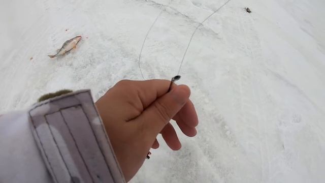 РЕДКО ПОПАДАЕШЬ НА ТАКИЕ ЛУНКИ! Кабаны как в Якутии! Рыбалка в слом погоды .Мормышка! Балансир! смотреть онлайн