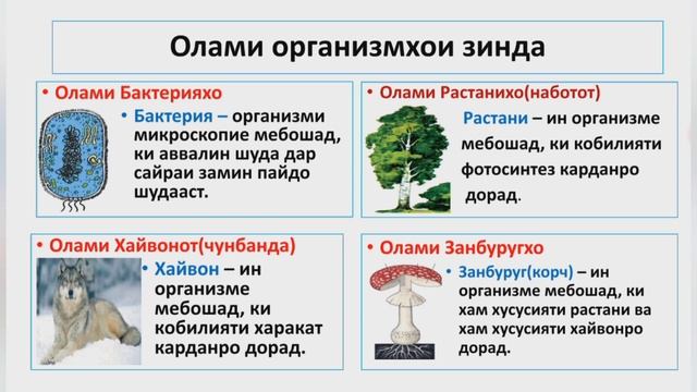 Фанҳои биологияи умуми ва биологияи махсус.(2). смотреть онлайн