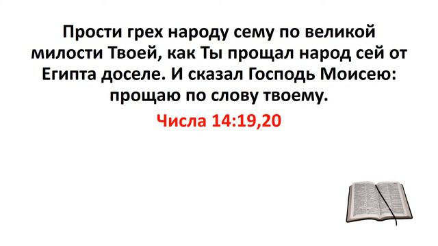 Библия, Ветхий Завет. Числа 14:19,20 смотреть онлайн