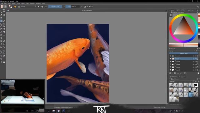 Koi Fish Mermaid - Digital Speed Painting