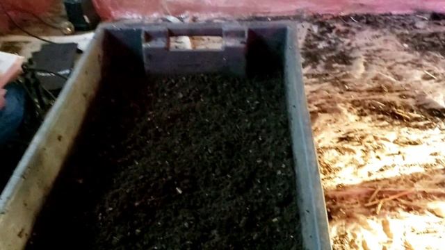 Чем заняться зимой на своём участке смотреть онлайн