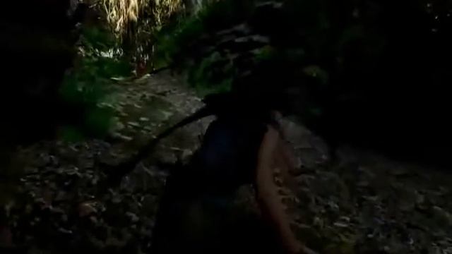 Tomb Raider 2020 - Jungle scene Tomb Rider 3D Game смотреть онлайн