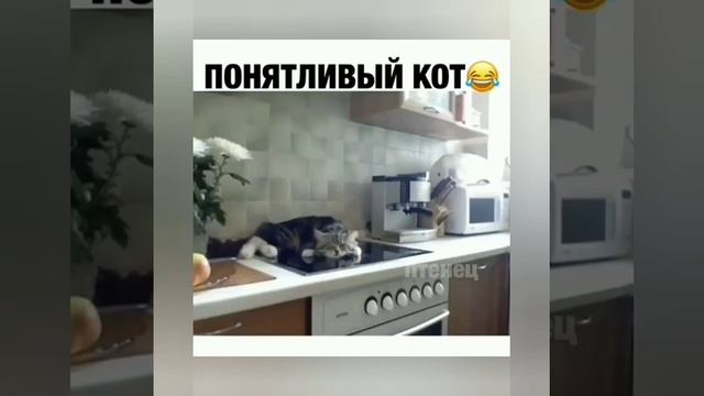 ПОЖАЛУЙ ЛУЧШЕЕ ЧТО БЫЛО СНЯТО НА ТЕПЛОВИЗОР смотреть онлайн