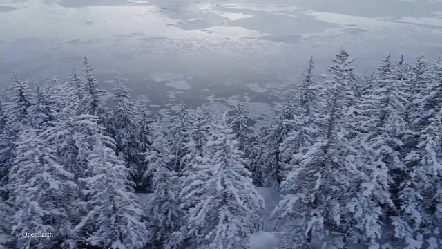 15 GIGANTIC Trees and Plants смотреть онлайн
