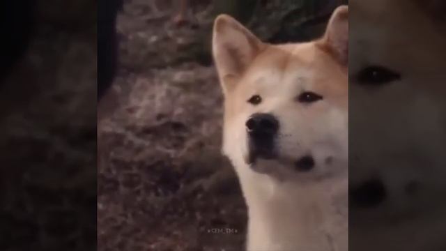 Стиль это все!!!Красивые слова!!! смотреть онлайн