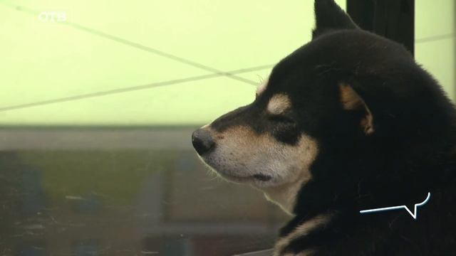 Куда съездить на Урале, еще лучше, чем за границу смотреть онлайн