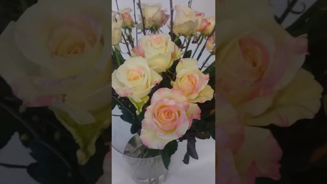 Рекомендуем ароматные розы. смотреть онлайн