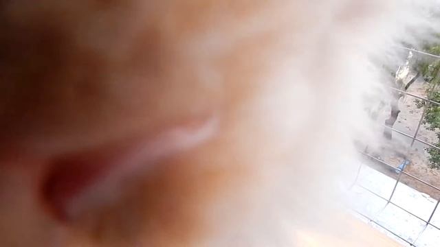 Балкон для кота на 7 этаже смотреть онлайн