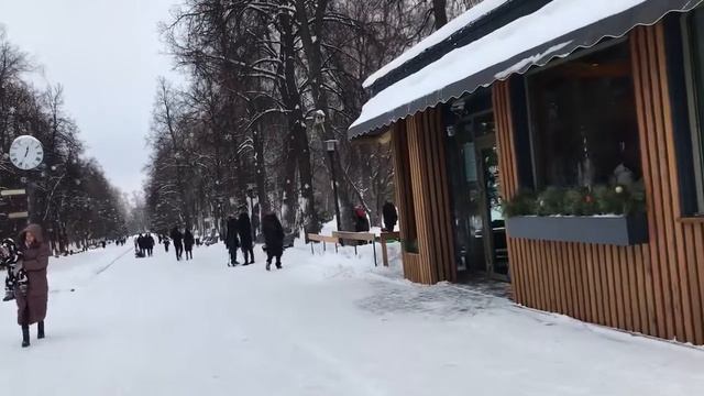 ВЛОГ2021===Быстрый торт/ДЯТЕЛ/Каток/Ватрушка/Шоппинг/Хаски смотреть онлайн