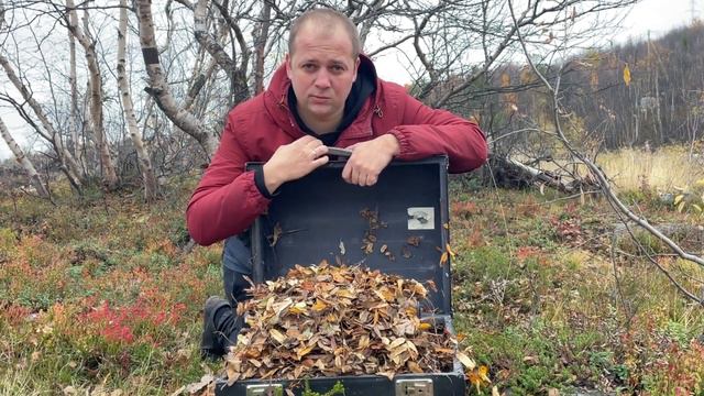 Таких ЛИСТЬЯ ЖЕЛТЫЕ Вы ещё НЕ ВИДЕЛИ на Баяне КЛИП / Autumn SONG on the Accordion смотреть онлайн