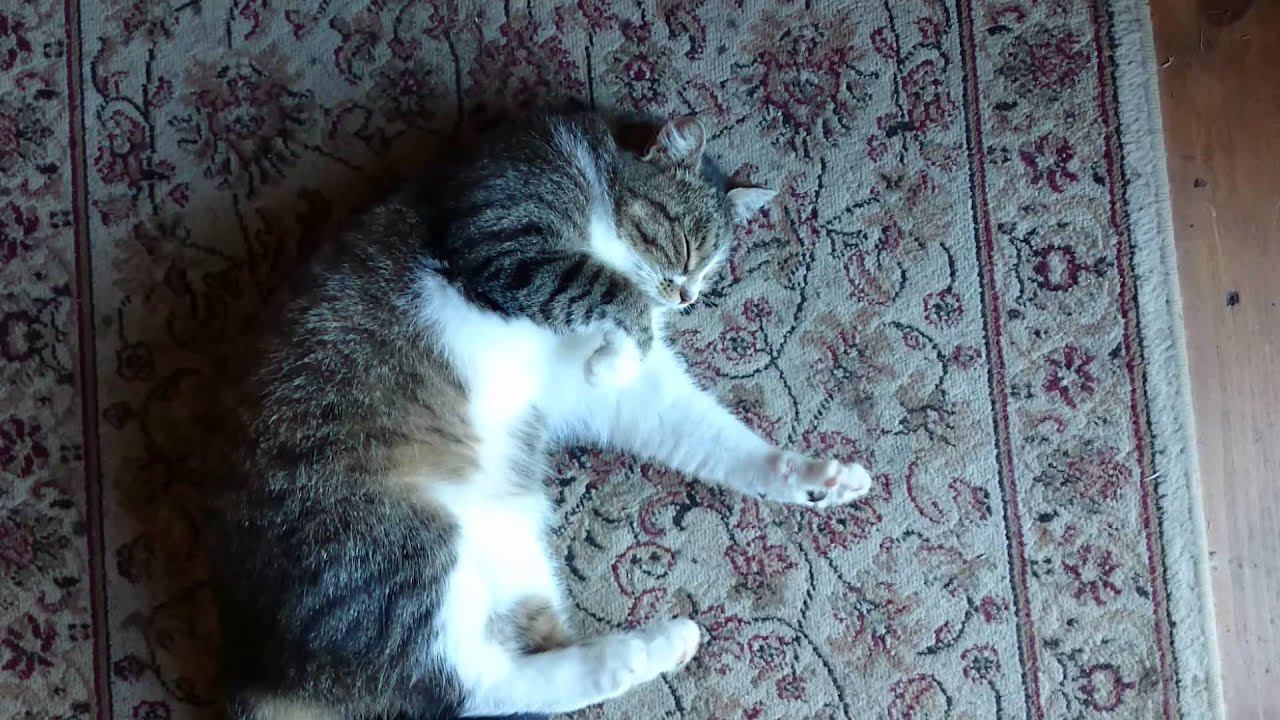 MOV 0518 смотреть онлайн