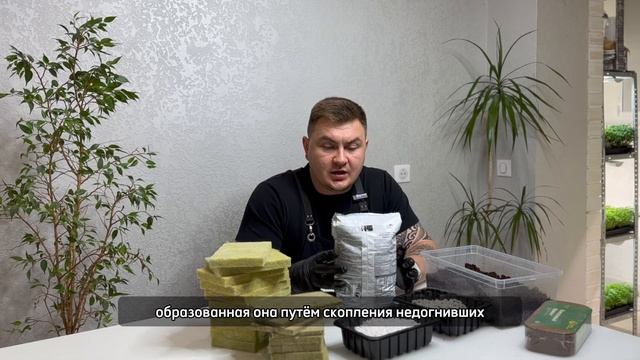 САМЫЙ ЛУЧШИЙ СУБСТРАТ! #микрозелень #субстрат смотреть онлайн