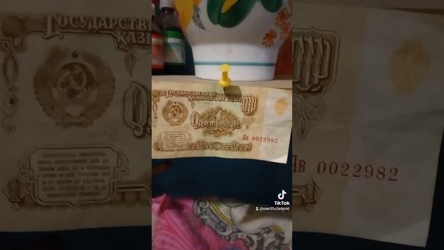 назад впрошлое