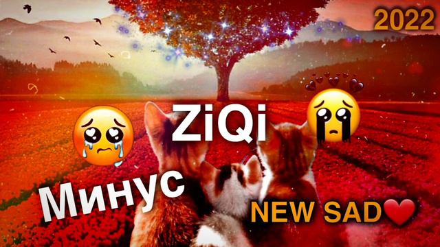 МИНУСИ ЗИКИ 😥Папса❤ ГАР БИМИРАМ ДАР ГАРИБИ🥀 ТОЧИКИСТОНАМ БАРЕД - ПАХ МИНУСИ ДЕВОНА ❤😥🥀 смотреть онлайн