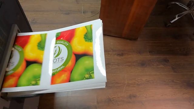Plastic sticker смотреть онлайн