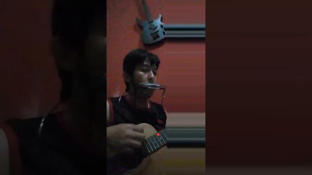 I Started a Joke- cover harmonica смотреть онлайн