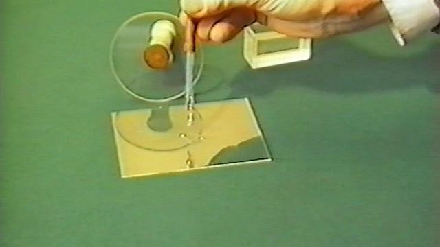 КАПИЛЛЯРНЫЕ СИЛЫ.ФИЗИКА.ХРОНИКА смотреть онлайн