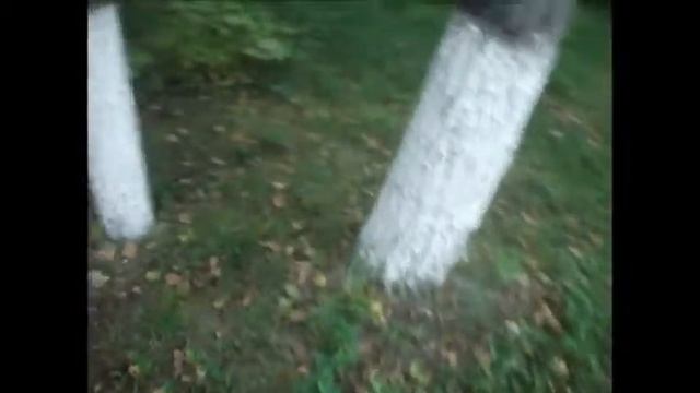 Кошка с улицы Раевского 13 #1 смотреть онлайн