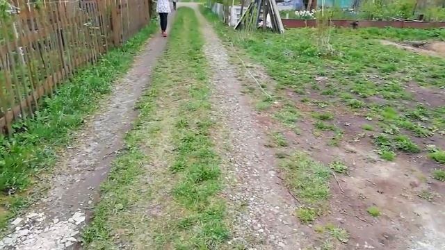 КАК ВСЕ БЫЛО//ИЗМЕНЕНИЯ НА НАШЕМ УЧАСТКЕ//ХОРОШО ПОСИДЕЛИ - ДУШЕВНЕНЬКО//БУДНИ МАМЫ//ДАЧНЫЙ ВЛОГ смотреть онлайн