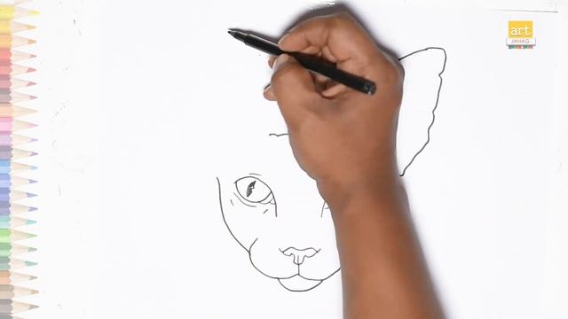 Sphynx cat face drawing very easy | How to draw Sphynx cat face step by step смотреть онлайн