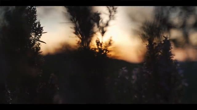 Голоса Санги — Благодарность Муджибабе. (С русскими субтитрами) смотреть онлайн