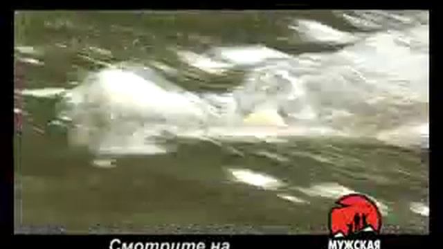 Ловля речной щуки