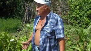 Б.А.Бублик. Ленивая совмещенная грядка