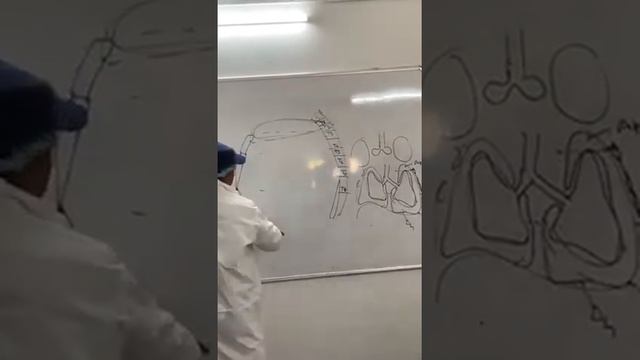 #pleura # By Prof.(Dr.) Pradip kumar poria смотреть онлайн