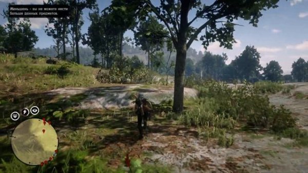 Карта сокровищ Водопад в Red Dead Redemption 2 Online PC