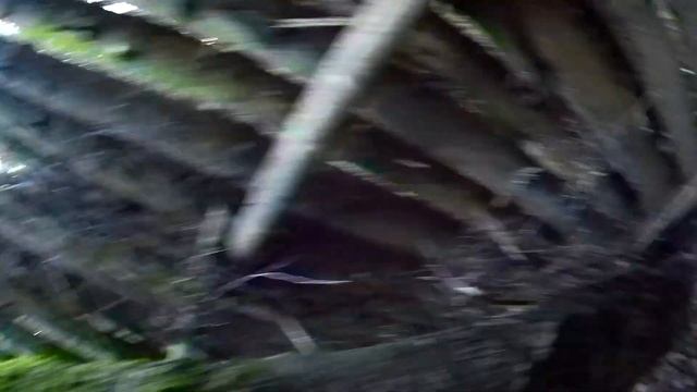 ЗА ГРИБАМИ НА СВОЙ СТАРЫЙ КАРДОН 1 АВГУСТА... смотреть онлайн