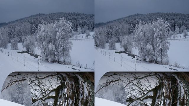 Spessart Schneegang 2022 in 3D 4K mit Sony RX100 und Canon Ixus 85is смотреть онлайн