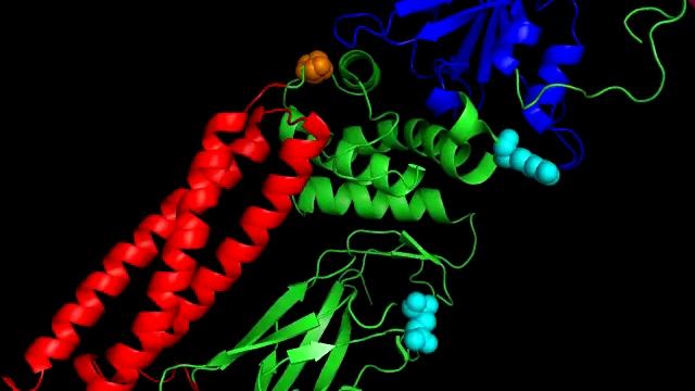 Dictyostelium STAT pymol movie смотреть онлайн