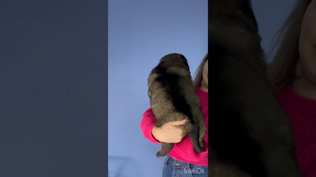 ЮДЖИН 1 мес смотреть онлайн
