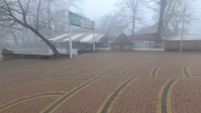 Прогулка вокруг стадиона Динамо в Старый парк. Театр Кукол, переулок Менделеева. смотреть онлайн