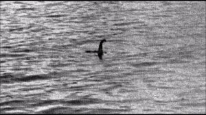 Кем оказалось лохнесское чудовище. Раскрыта тайна лохнесского чудовища. #новости #новостисегодня