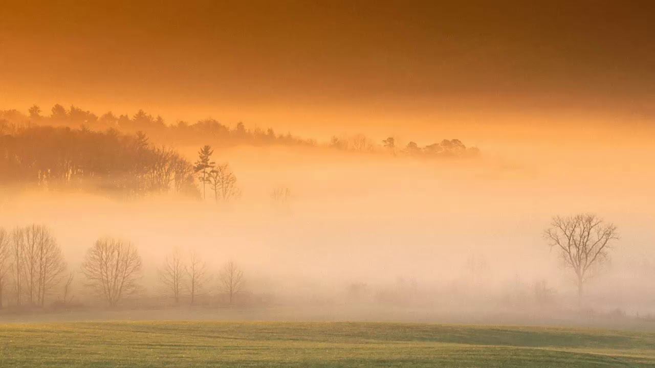 Сектор газа - Туман смотреть онлайн