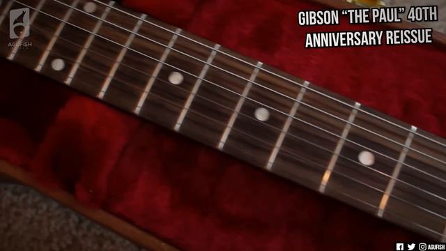 The Best Value Guitar Gibson Makes?? || Gibson Les Paul Special Tribute DC Demo/Review смотреть онлайн