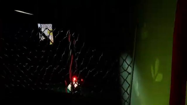 How To Beat Act 1 Basement Without Seeing The Neighbor смотреть онлайн