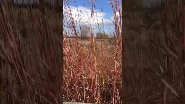 M67 Fragmentation grenade fun смотреть онлайн