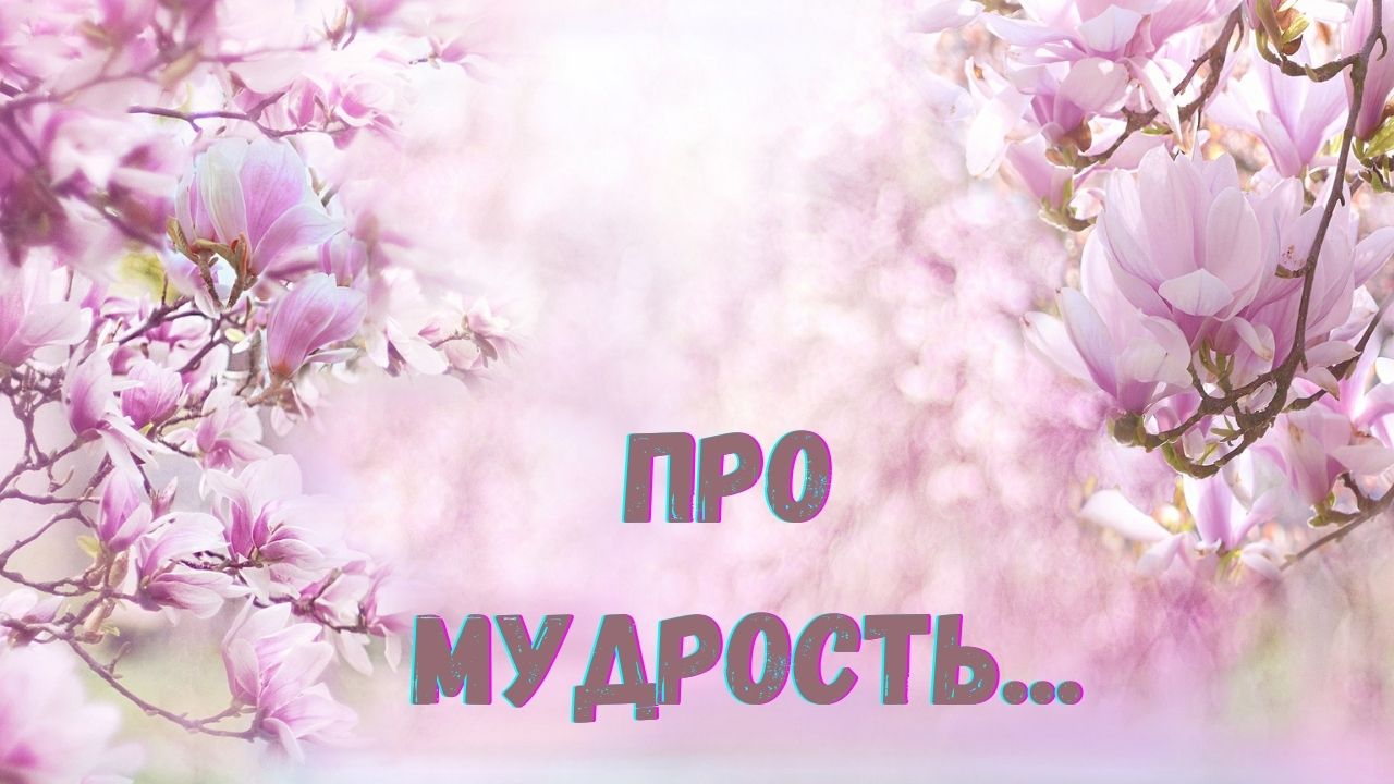 ПРО МУДРОСТЬ... смотреть онлайн