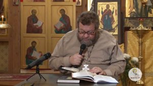 Исцеление расслабленного в Капернауме. Протоиерей Олег Стеняев. Воскресное Евангелие