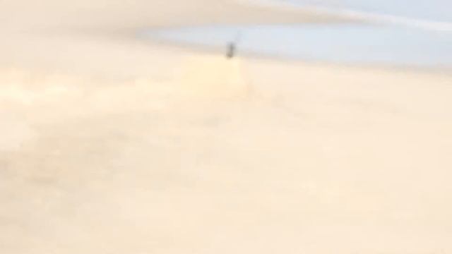 D&N Trip USA 2016 Первое купание в океане[part5] смотреть онлайн